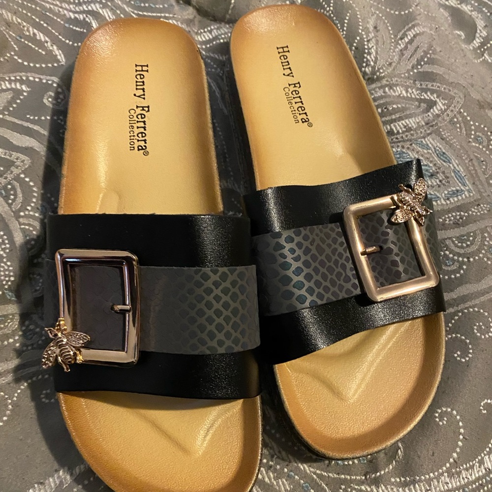 Henry ferrera slides